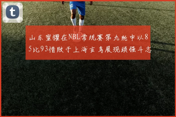 山东蜜獾在NBL常规赛第九轮中以85比93惜败于上海玄鸟展现顽强斗志